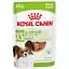 Вологий корм для дорослих собак мініатюрних розмірів Royal Canin X-Small Adult шматочки в соусі 1.02 кг (12 шт.  х 85 г) - мініатюра 2