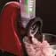 Овочерізка Russell Hobbs 22280-56 Desire Slice&Go - мініатюра 5