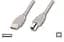 Кабель USB 2.0 AM - USB BM, 0.8 м, білий, Atcom (6152) - мініатюра 1
