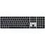 Клавіатура Apple Magic Keyboard with Touch ID and Numeric Keypad Black (MXK83) Box [122929] - мініатюра 1
