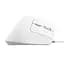 Мишка Trust Bayo II Ergonomic USB White (25397) - мініатюра 5