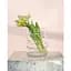Ваза Trend Glass Adele 24 см (35949) - мініатюра 2