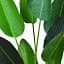 Штучна рослина Engard Banana Tree 120 см (TW-24 ) - мініатюра 2