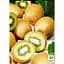 Саджанець Agro-Market Ківі Соло (самозапильний) (26160) - мініатюра 4