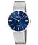 Годинник Festina Swiss Made F20074/2 - мініатюра 1