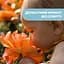 Дитяча парфумована вода Chicco Natural Sensation Baby Perfumed Water 100 мл (11523.00) - мініатюра 4