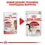 Вологий корм для дорослих кішок Royal Canin Instinctive шматочки в желе 85 г - мініатюра 6