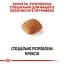 Сухий корм для дорослих собак породи Золотистий ретрівер Royal Canin Golden Retriever Adult, 3 кг (3970030) - мініатюра 4