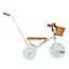 Дитячий триколісний велосипед Banwood Trike pale mint - мініатюра 3