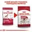 Сухой корм для взрослых собак средних пород Royal Canin Medium Adult, 1 кг (3004100) - миниатюра 2