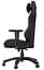 Ігрове крісло Anda Seat Phantom 3 L Black-Gold (AD18Y-06-B-PV/C) - мініатюра 11