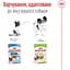 Влажный корм для взрослых собак миниатюрных размеров Royal Canin X-Small Adult кусочки в соусе 85 г - миниатюра 4