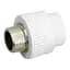 Муфта PPR Blue Ocean 25х3/4 ЗР SD00042199 - миниатюра 1