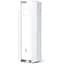Точка доступа Wi-Fi TP-Link EAP650-Outdoor - миниатюра 1