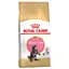 Сухий корм для кошенят до 15 місяців породи мейн-кун Royal Canin Maine Coon kitten, 4 кг (2558040) - мініатюра 1