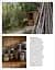 Living Wild. New Beginnings in the Great Outdoors - мініатюра 12