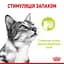 Набір вологого корму  для дорослих котів Royal Canin Sensory Smell Jellyшматочки в желе 1.02 кг (12 шт. х 85 г) - мініатюра 6