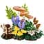 Конструктор LEGO Botanicals Лісові гриби (11505) - мініатюра 4