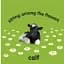 Baby Touch and Feel. Farm Animals - миниатюра 3
