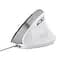 Мишка Trust Bayo II Ergonomic USB White (25397) - мініатюра 2
