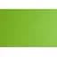 Папір для дизайну Fabriano Colore B2 (50x70см) №30 verde piselo 200г/м2 салатовий дрібне зерно - мініатюра 1