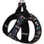 Шлея для собак Bronzedog Sport Vest Бульки M 24х18х3 см - мініатюра 1