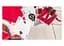 Карти гральні United States Playing Card Company Gemini Mako Red (60054) - мініатюра 6