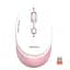 Мышь MEETION 2.4 G Wireless Office Mouse R571 |1000/1200/1600 DPI, AA Battery| - миниатюра 1