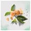 Шампунь для сухой кожи головы Herbal Essences Алоэ и авокадо 380 мл - миниатюра 2