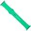 Ремінець Apple Watch Silicone 38/40/41 mm Spearmint - мініатюра 1