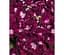 Саженец Agro-Market Пеларгония Королевская Bermuda Merlot (116351) 1 шт. в упаковке - миниатюра 1