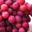 Саджанець Agro-Market Виноград Динька (дуже солодкий морозостійкий мускат) 1 шт. в пакуванні (61659) - мініатюра 1