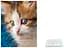 Альбом UFO PP-46200 Cat photo 10x15x200см (PP-46200 Cat photo) - мініатюра 2