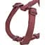 Шлея Trixie Premium H-harness для собак S-M 42-60 см 15 мм бордовый - миниатюра 4