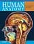 Human Anatomy: An Illustrated Guide to the Structure and Function of the Body - миниатюра 1