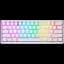 Клавіатура бездротова Motospeed SK66 Gateron Red Hot Swap RGB White (mtsk66wmr) - мініатюра 1