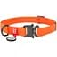 Ошейник для собак Waudog Waterproof, коллартекс, водостойкий, с QR паспортом, 31-49х2,5 см, оранжевый - миниатюра 1