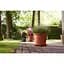 Горшок Elho algarve cilindro 40 см терракот (529208) - миниатюра 5