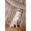 Панама Pet Fashion Gold для собак L - мініатюра 5