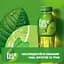 Напій Fuze tea з екстрактом зеленого чаю смак лайма-м'яти 0.5 л - мініатюра 2