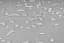 Килимок з отворами Hop-Sport TPE HS-T008GM 0.8 см сірий - мініатюра 6