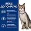 Сухий корм для котів Hill's Prescription Diet ActivBiome+ Kidney Defense підтримання функції нірок, з тунцем, 0,4 кг - мініатюра 4