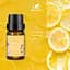 Эфирное масло Kinscoter Essential Oil Set 6 bottles, 6*10 мл - миниатюра 4