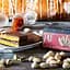 Шоколад Zotter Saffron and Pistachios молочний органічний 70 г - мініатюра 4
