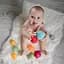 Набор развивающих сенсорных мячей и животных BabyOno 6 шт - миниатюра 4