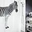 Шторка для ванної ZEBRA (10.11554) - мініатюра 1
