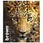 Зошит загальний Animal palette Школярик 060-3245K-3 в клітинку 60 аркушів - мініатюра 1