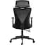 Офисное кресло GT Racer B-4118 Black (B-4118 Black) - миниатюра 3