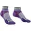Носки Bridgedale Trail Run Ultralight T2 Coolmax Sport Low Wms M Purple (1053-710258.371.M) - миниатюра 1