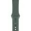 Ремінець Sport Band для Apple Watch 38/40/41mm Pine Green [119472] - мініатюра 1